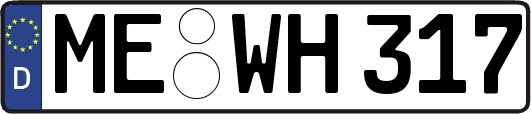 ME-WH317
