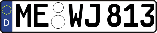 ME-WJ813