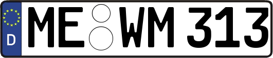 ME-WM313