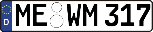 ME-WM317