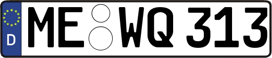 ME-WQ313