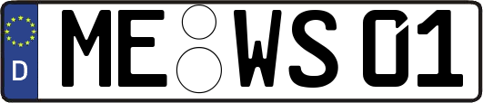 ME-WS01