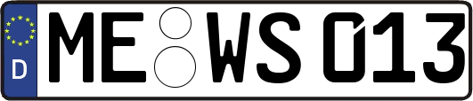 ME-WS013