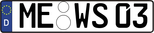 ME-WS03