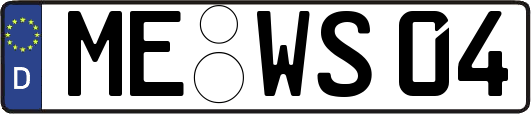 ME-WS04