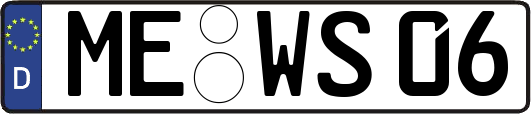 ME-WS06