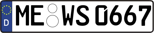 ME-WS0667