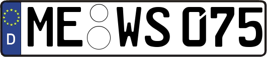 ME-WS075