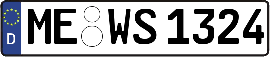 ME-WS1324