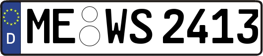 ME-WS2413