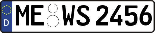ME-WS2456