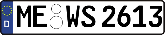 ME-WS2613