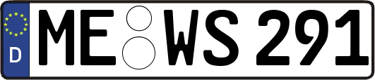 ME-WS291