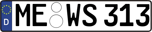 ME-WS313