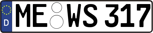ME-WS317
