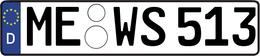 ME-WS513