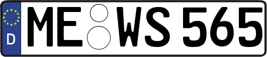 ME-WS565