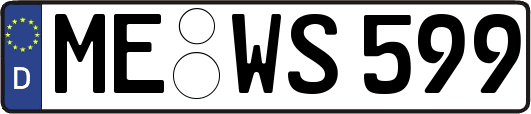 ME-WS599