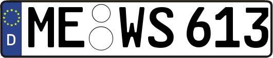 ME-WS613