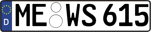 ME-WS615