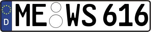 ME-WS616