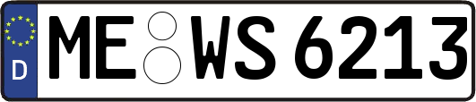 ME-WS6213