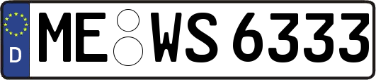 ME-WS6333
