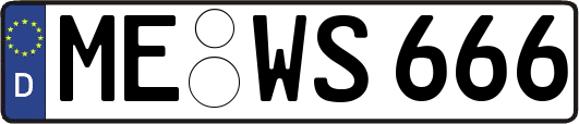 ME-WS666