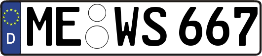 ME-WS667