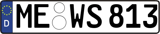 ME-WS813