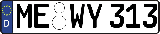 ME-WY313