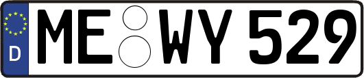 ME-WY529