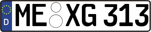 ME-XG313