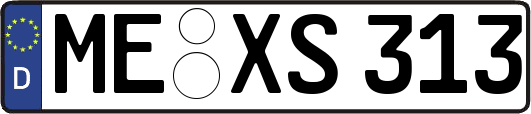 ME-XS313