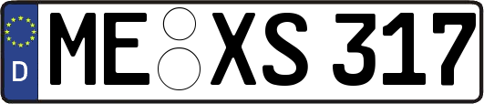 ME-XS317