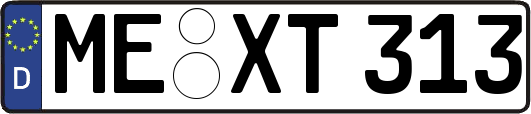 ME-XT313
