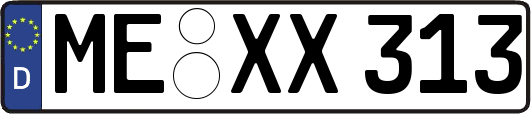 ME-XX313