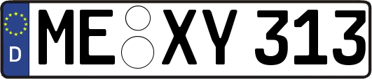 ME-XY313