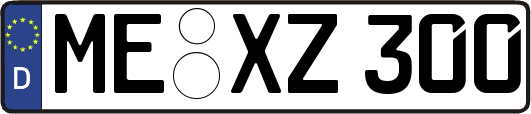 ME-XZ300