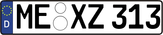 ME-XZ313