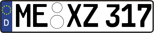 ME-XZ317