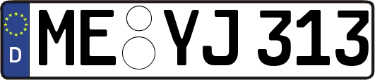 ME-YJ313