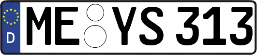 ME-YS313