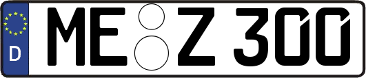 ME-Z300