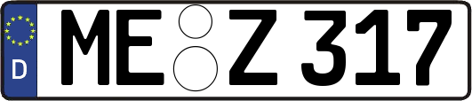 ME-Z317