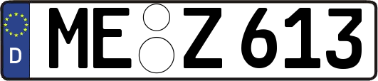 ME-Z613