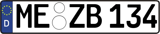 ME-ZB134