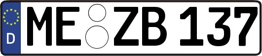 ME-ZB137
