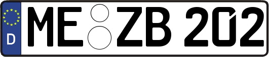ME-ZB202