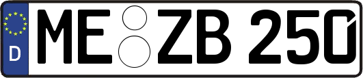 ME-ZB250